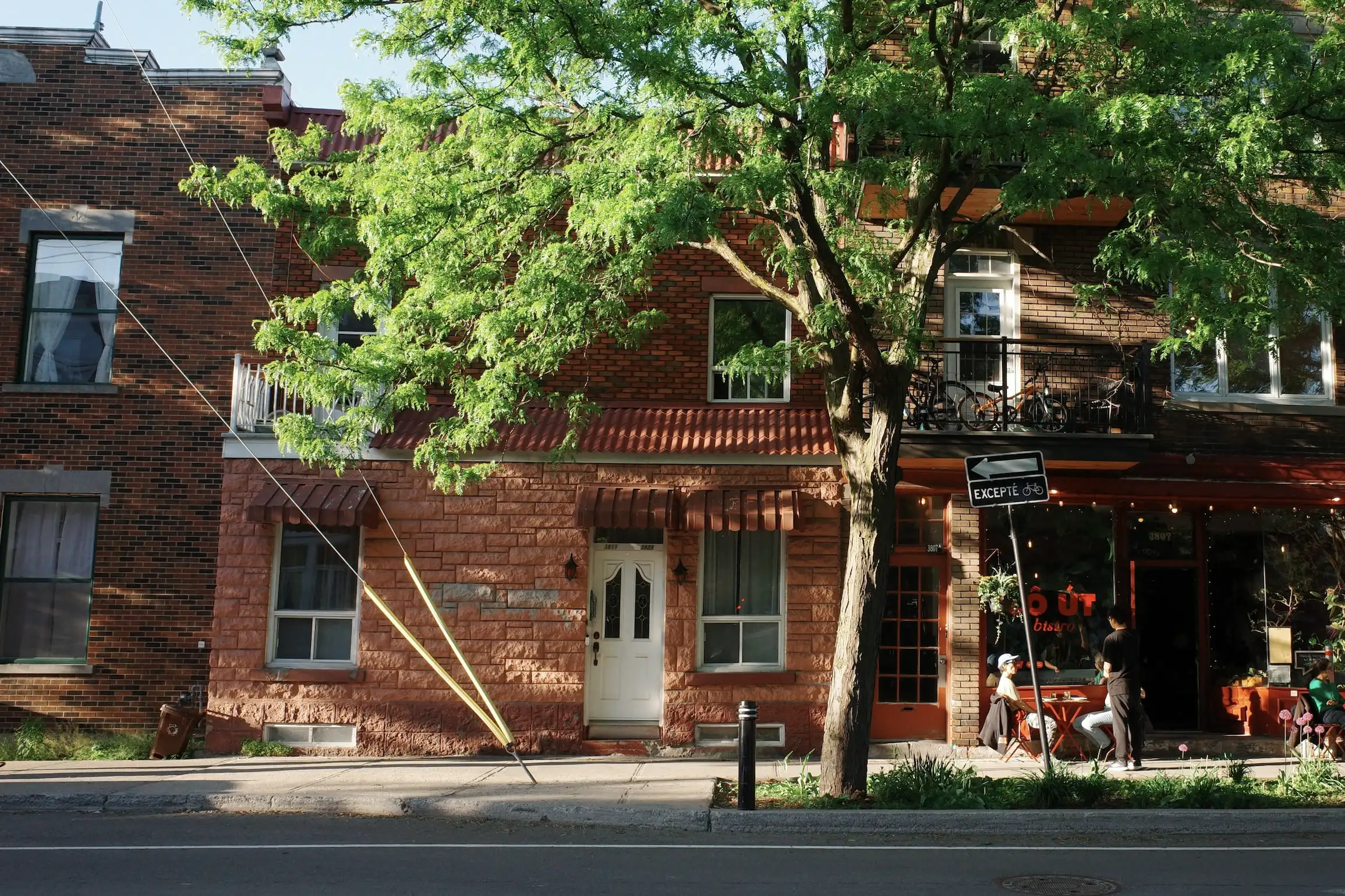 A tree-shaded bistro on a Montreal street