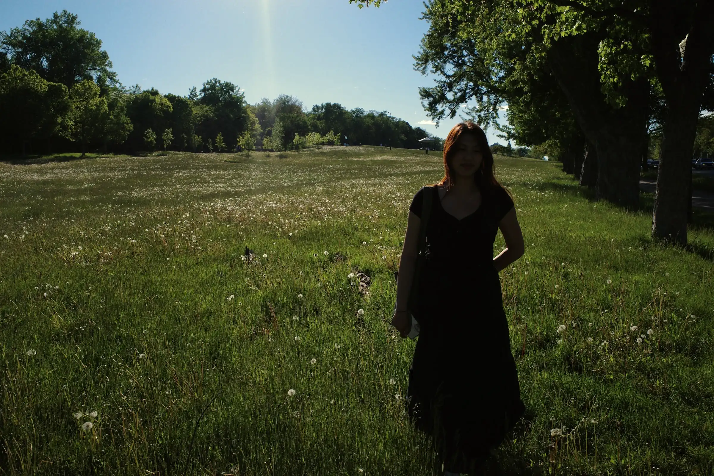 A silhouette in a dandelion field at golden hour